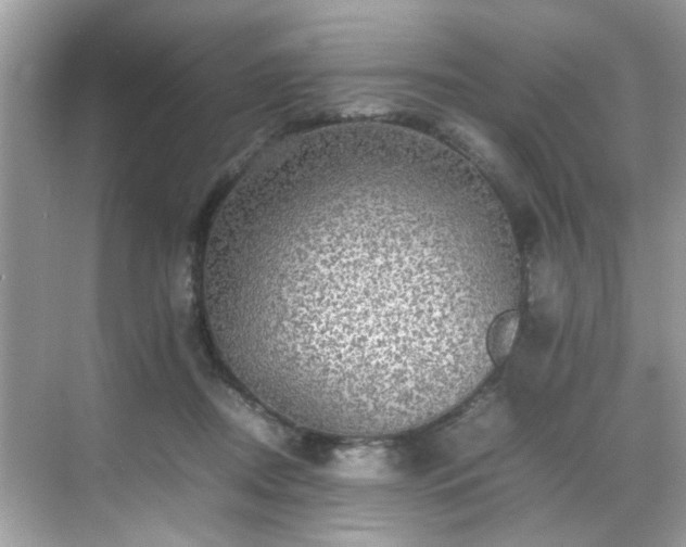 X0000070410362200606121336