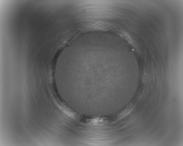 X0000070410366200606121336