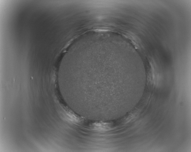 X0000070410367200606121336