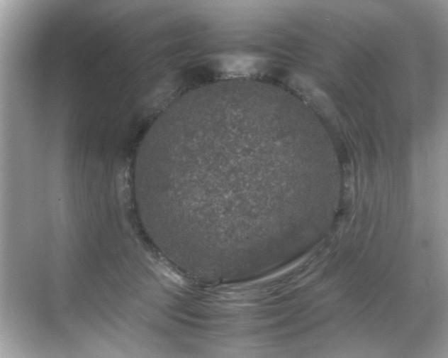 X0000070410369200606121336