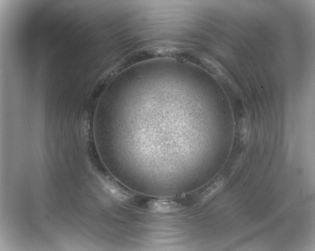 X0000070410372200606121336