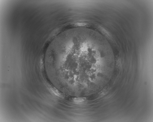 X0000070410373200606121336