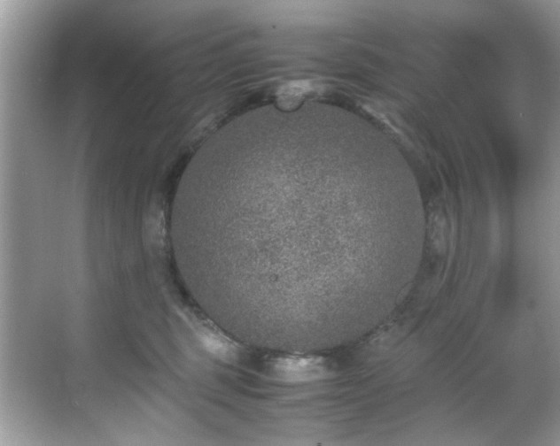 X0000070410375200606121336