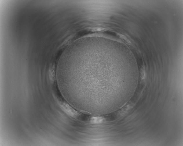 X0000070410376200606121336