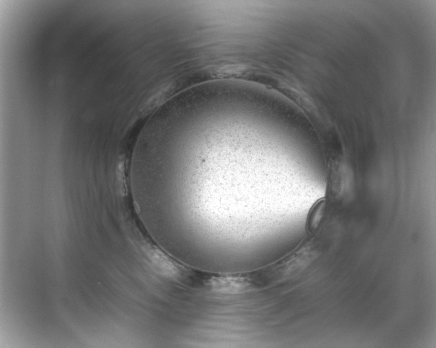 X0000070410378200606121336