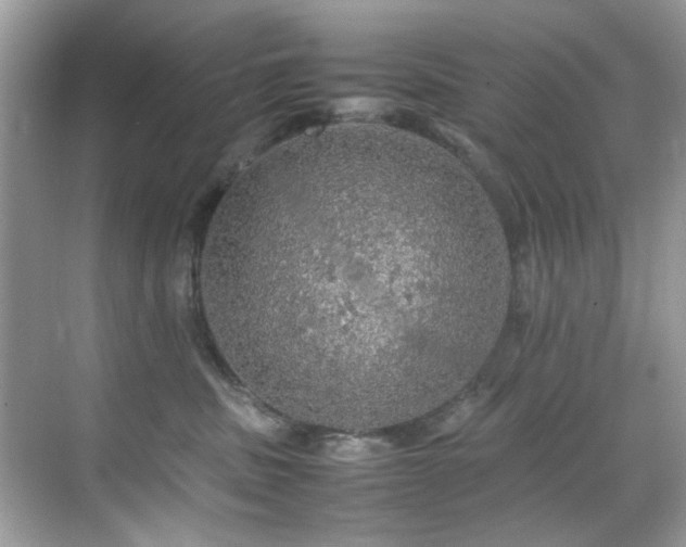 X0000070410379200606121336