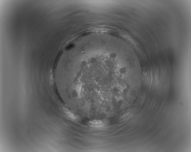 X0000070410381200606121336