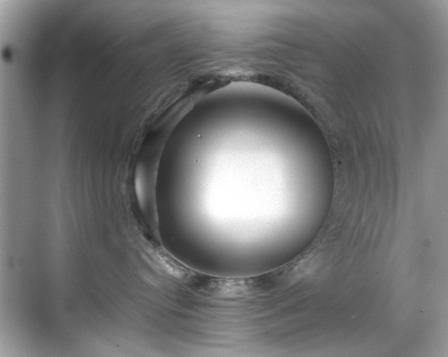 X0000070410384200606121336