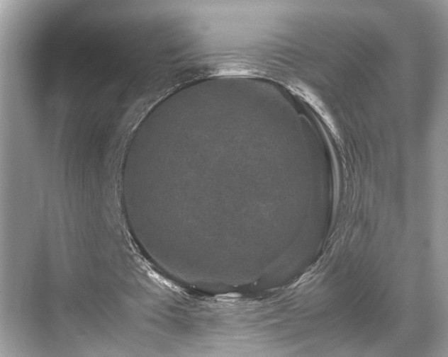 X0000070410385200606121335