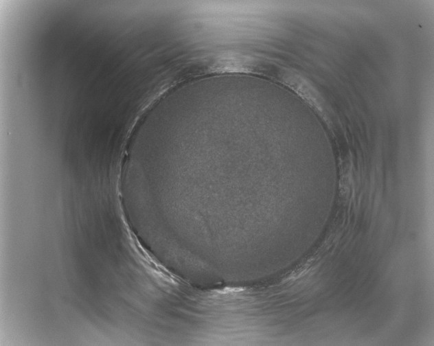 X0000070410386200606121335