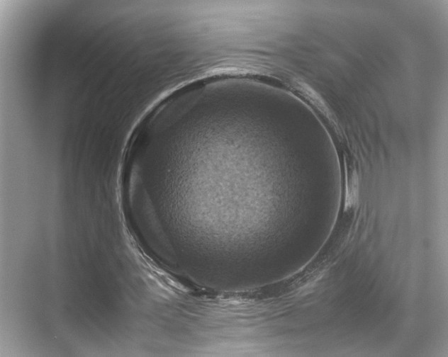 X0000070410387200606121335