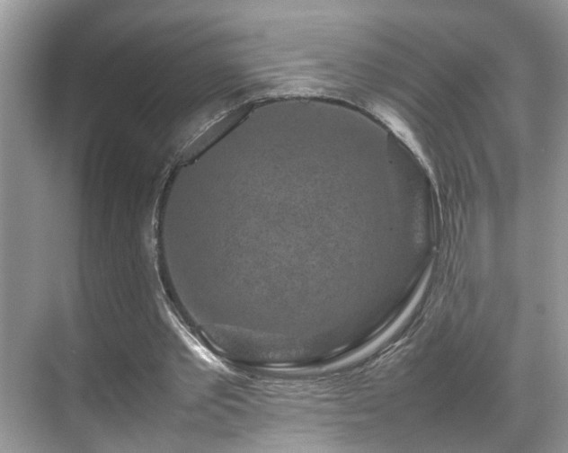 X0000070410389200606121335