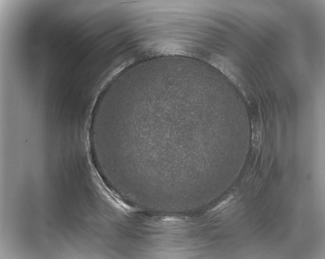 X0000070410390200606121335