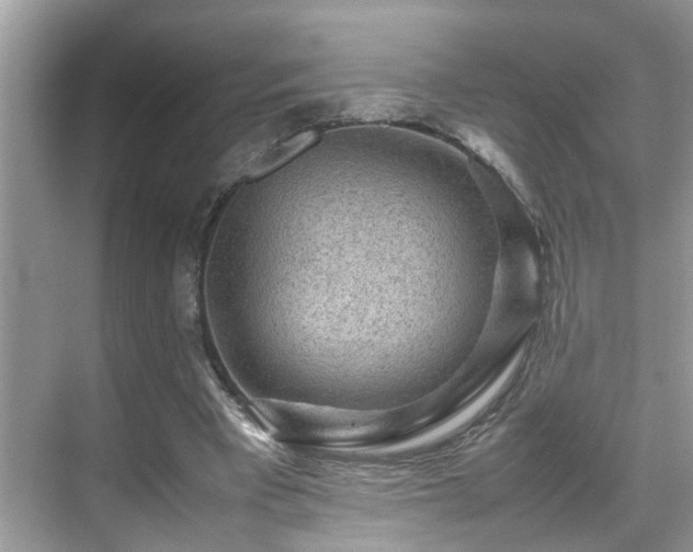 X0000070410393200606121335