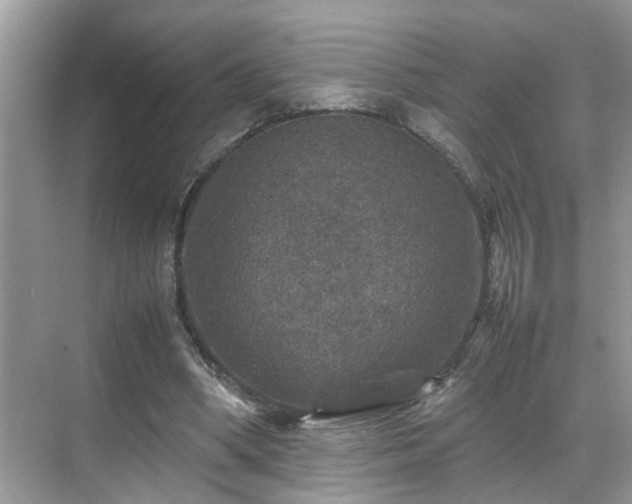 X0000070410394200606121335