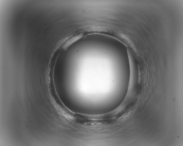 X0000070410395200606121335