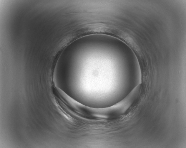 X0000070410397200606121335