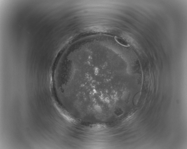 X0000070410398200606121335