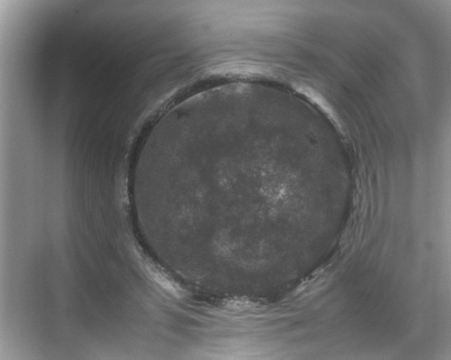 X0000070410399200606121335