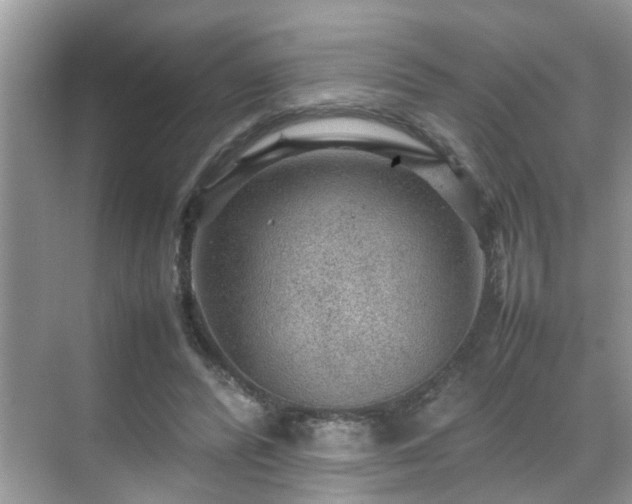 X0000070410400200606121335