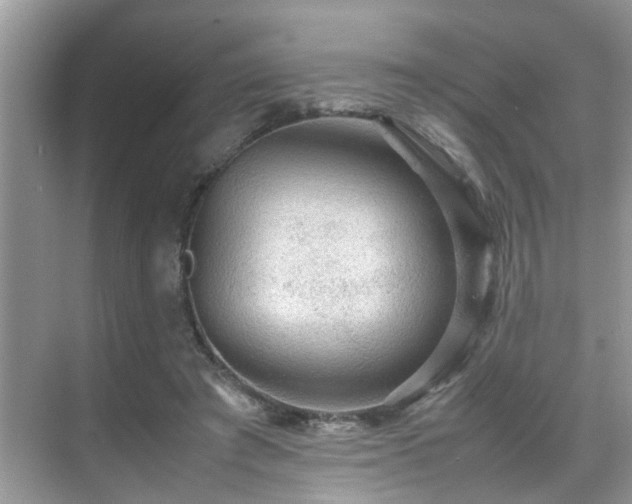 X0000070410401200606121335