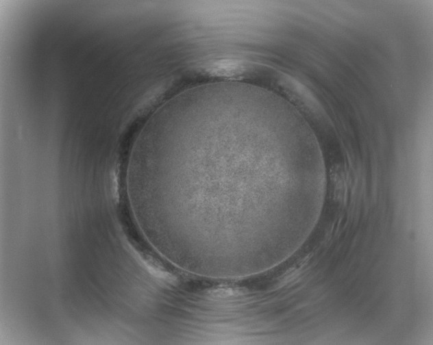 X0000070410404200606121335