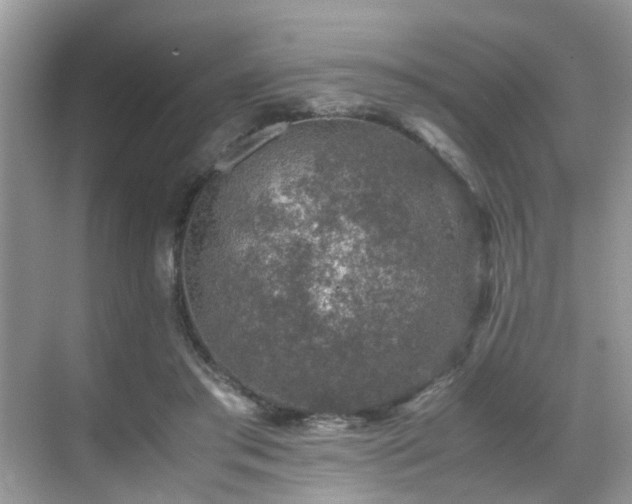 X0000070410405200606121335