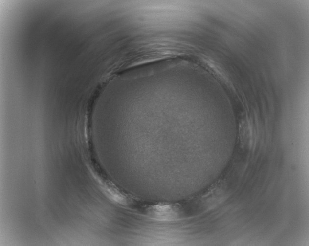 X0000070410406200606121335