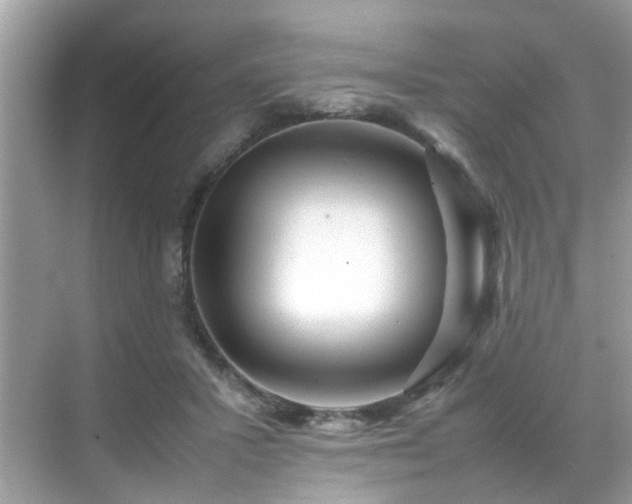 X0000070410407200606121335