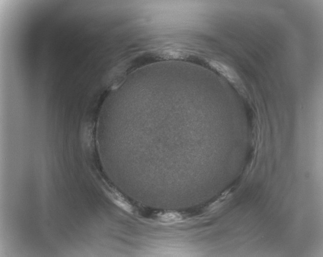 X0000070410409200606121335