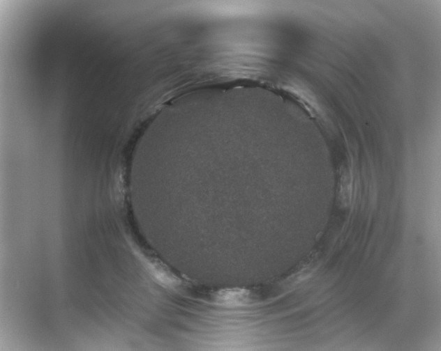 X0000070410410200606121335