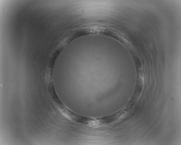 X0000070410411200606121335