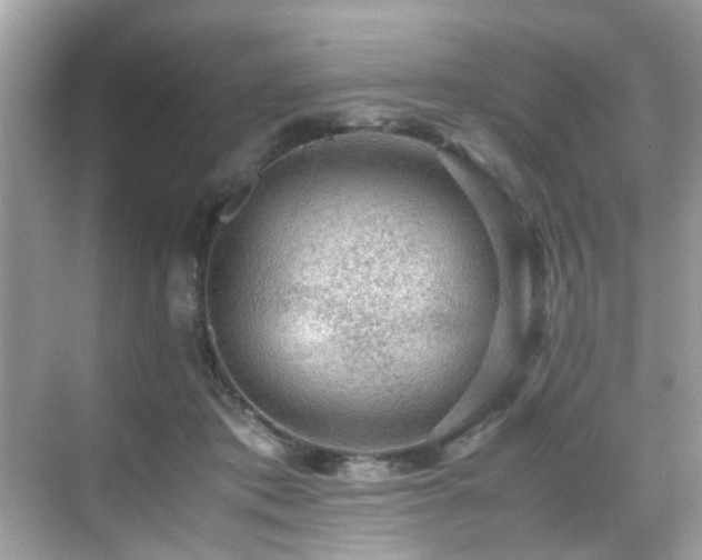 X0000070410413200606121335