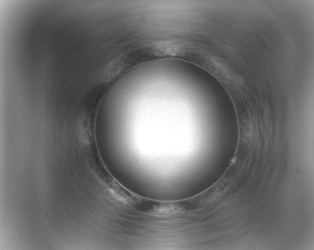 X0000070410414200606121335