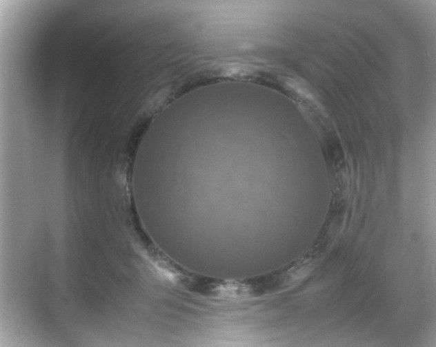 X0000070410415200606121335