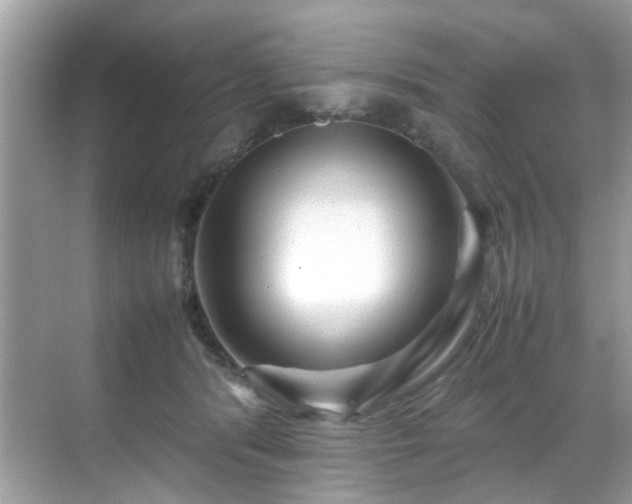 X0000070410416200606121335