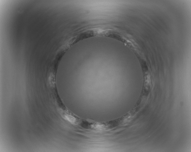 X0000070410419200606121335