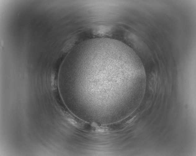 X0000070410420200606121335