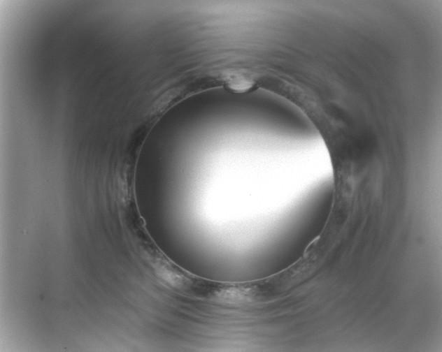 X0000070410422200606121335