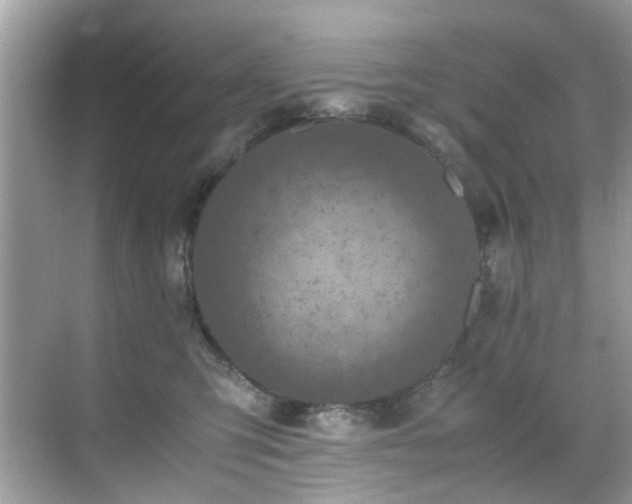 X0000070410423200606121335