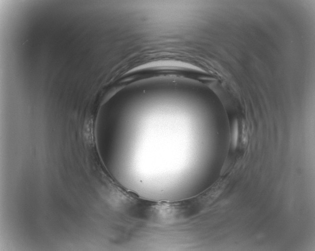 X0000070410425200606121335