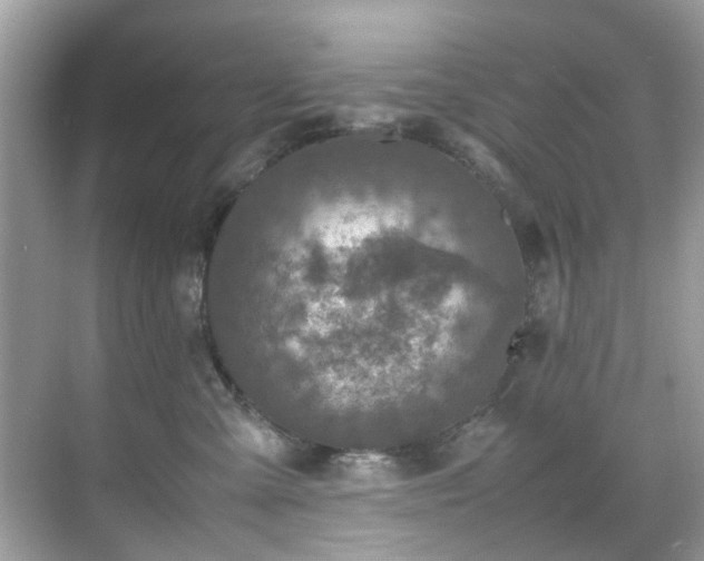 X0000070410427200606121335