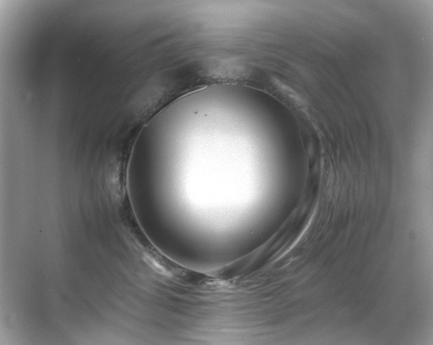 X0000070410428200606121335