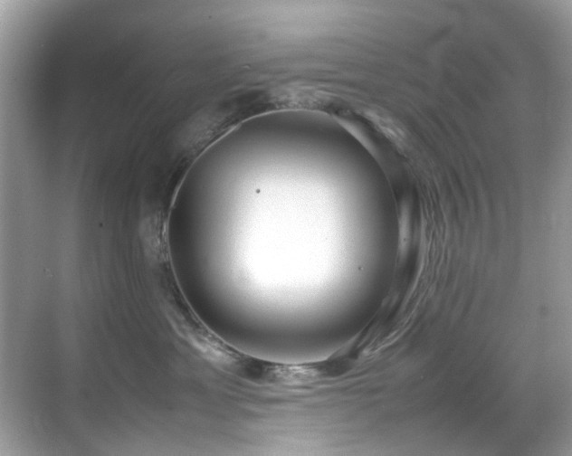 X0000070410429200606121335