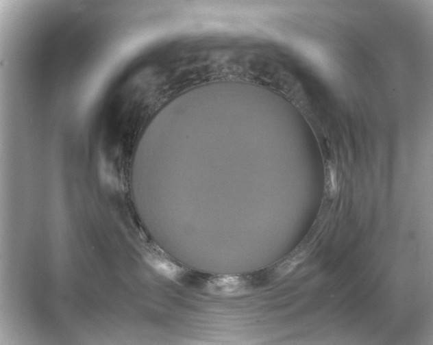 X0000070410431200606121335