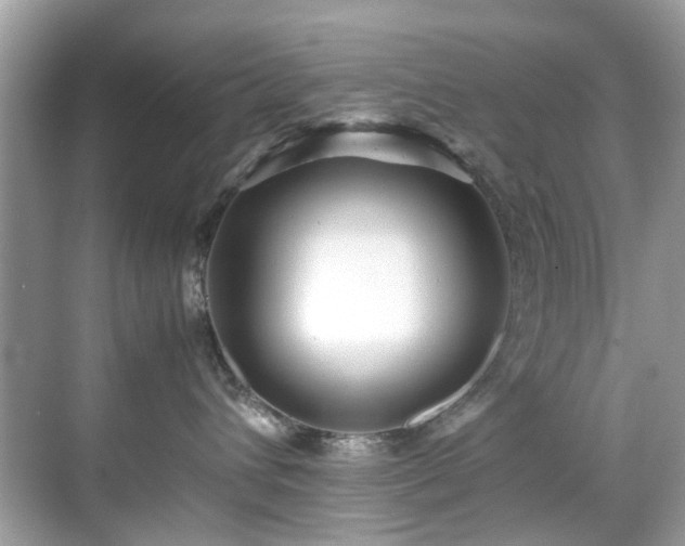 X0000070410432200606121334