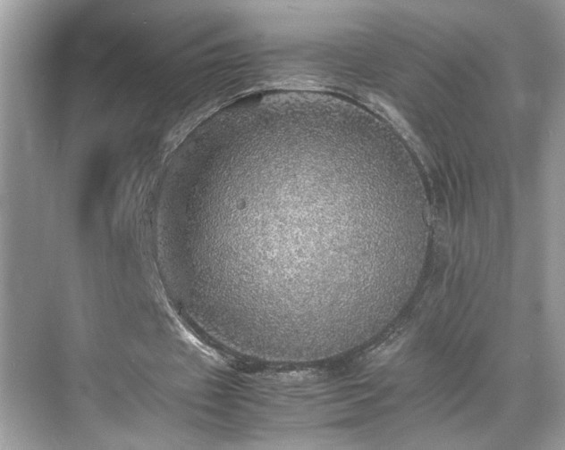 X0000070410433200606121334