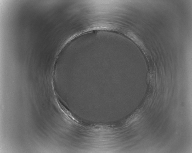 X0000070410434200606121334