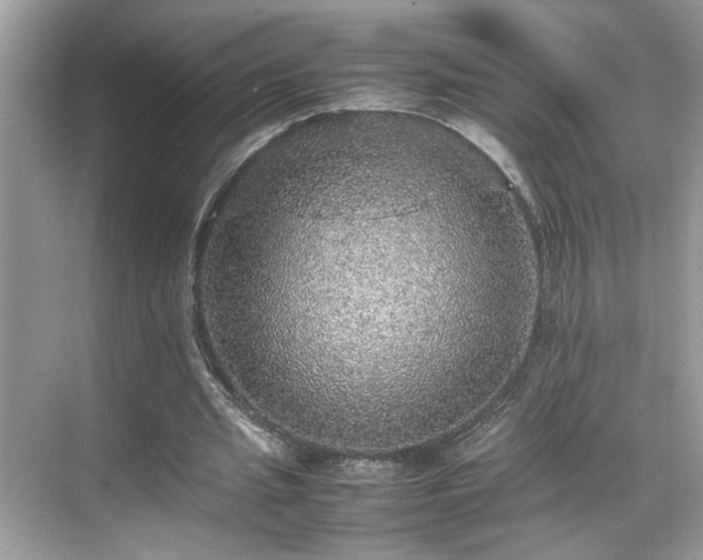 X0000070410437200606121334