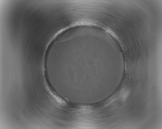 X0000070410438200606121334